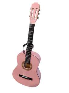 Guitare classique BEAVER CREEK bctx901pk
