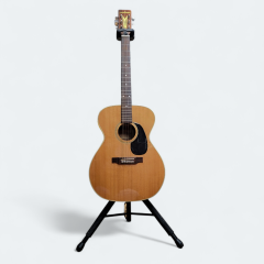 Guitare acoustique masterworks f-10