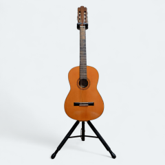 Guitare acoustique sonata t334