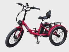 Tricycle électrique Ollie Leo